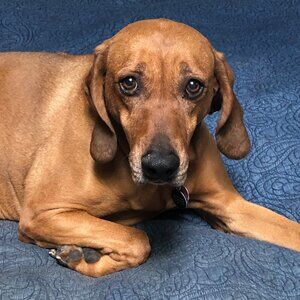 Meet your Posher Jackie (and Jamie too!)